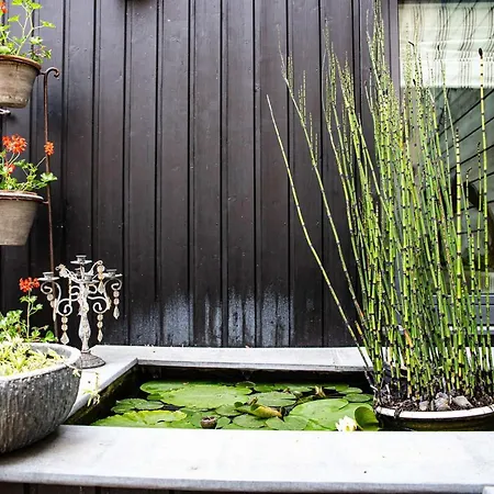 Cosy & Spa, 4etoiles